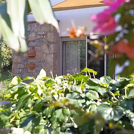 Odette Bodrum 4* אורטקנט